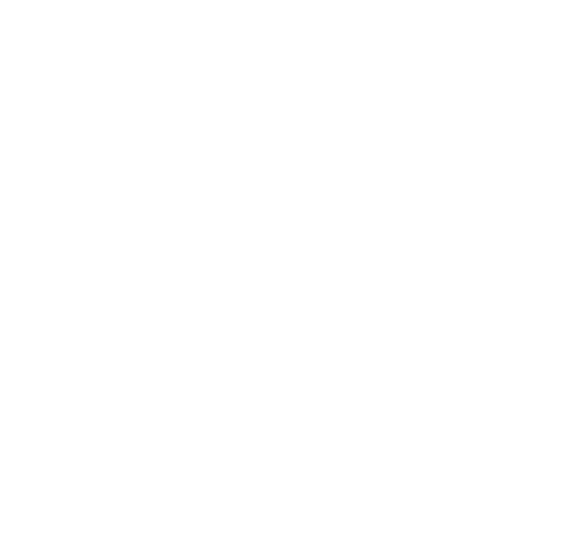 British Flim Institute